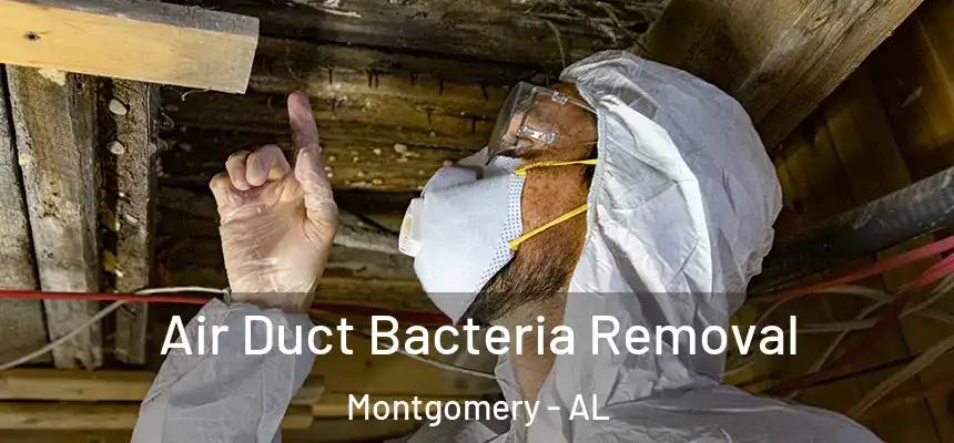 Air Duct Bacteria Removal Montgomery - AL