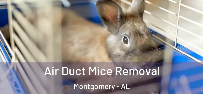 Air Duct Mice Removal Montgomery - AL