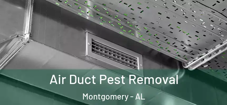 Air Duct Pest Removal Montgomery - AL