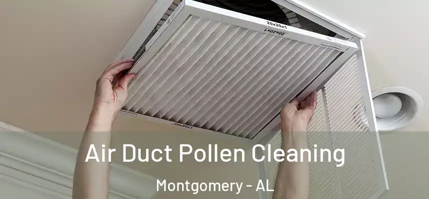 Air Duct Pollen Cleaning Montgomery - AL