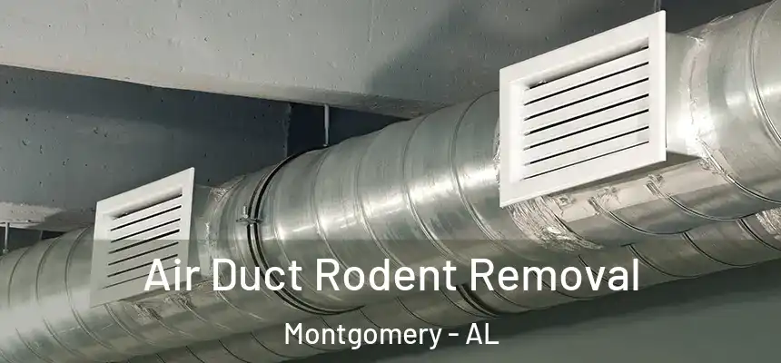 Air Duct Rodent Removal Montgomery - AL
