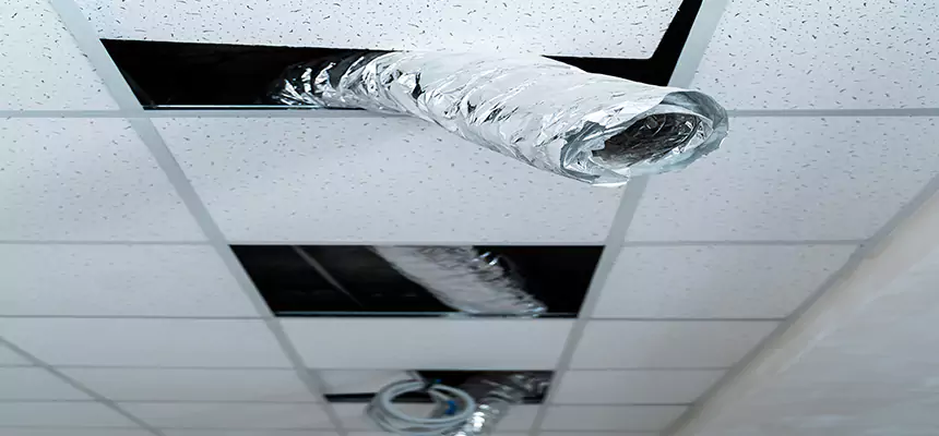 Our Air Duct Pet Hair Removal Services in Montgomery, AL