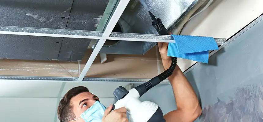 Our Air Duct Rodent Removal Services in Montgomery, AL