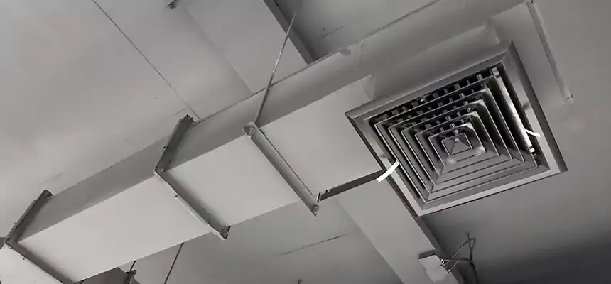 Our Rodent Droppings In Vents Services in Montgomery, AL