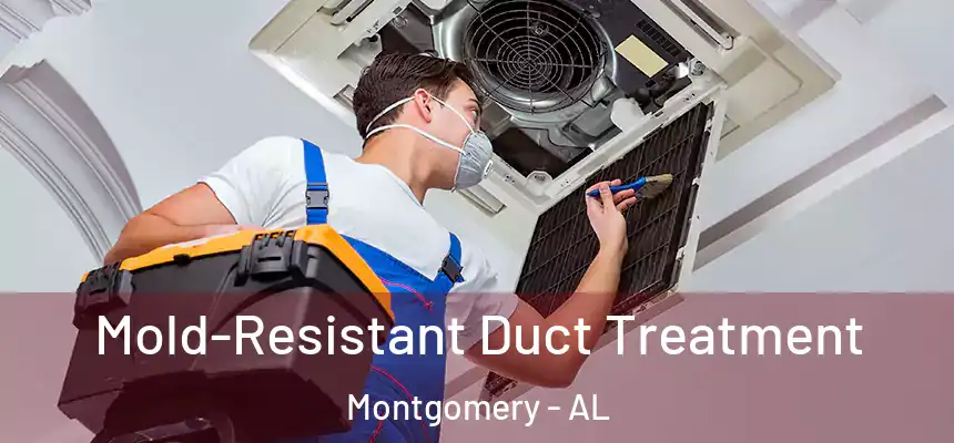 Mold-Resistant Duct Treatment Montgomery - AL