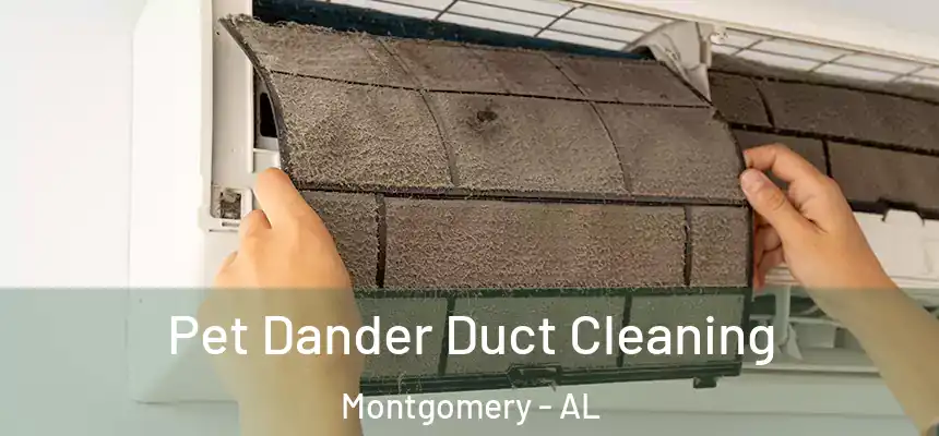 Pet Dander Duct Cleaning Montgomery - AL