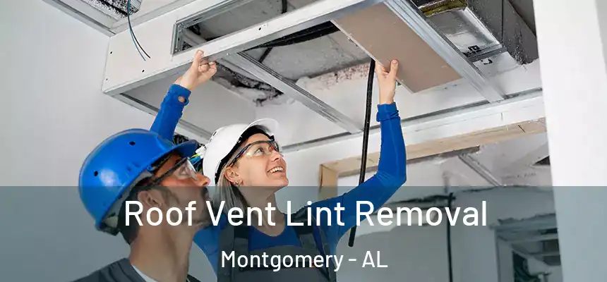 Roof Vent Lint Removal Montgomery - AL