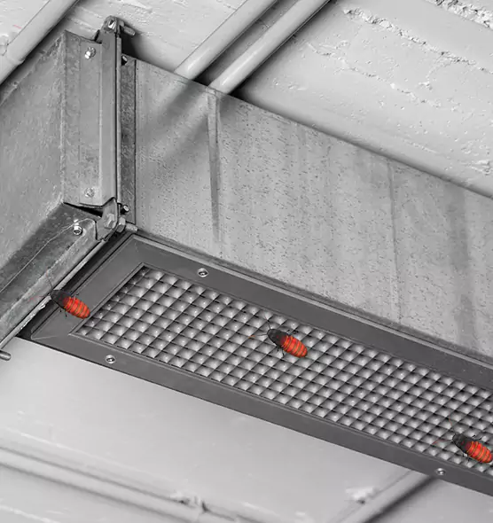 About Air Duct Cockroach Removal in Montgomery, AL